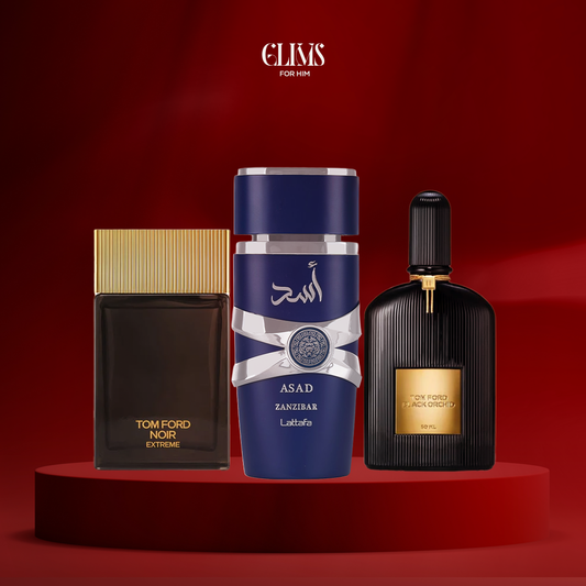 اسد زنجبار + بلاك اوركيدا + اوركيدا نوير